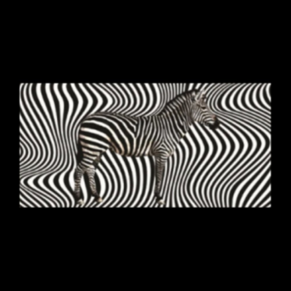 24 Pack of Zebra Velour Beach Towels Case ~30 x 60